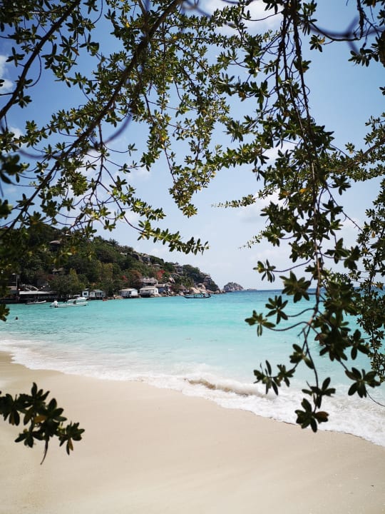 Strand The Haad Tien Beach Resort