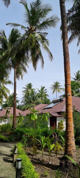 Gartenanlage Filitheyo Island Resort