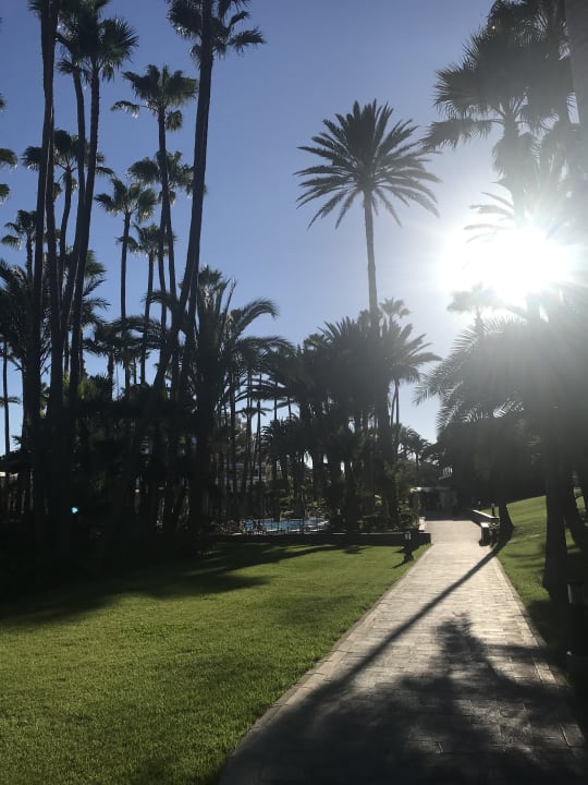 Gartenanlage Hotel Riu Palace Oasis