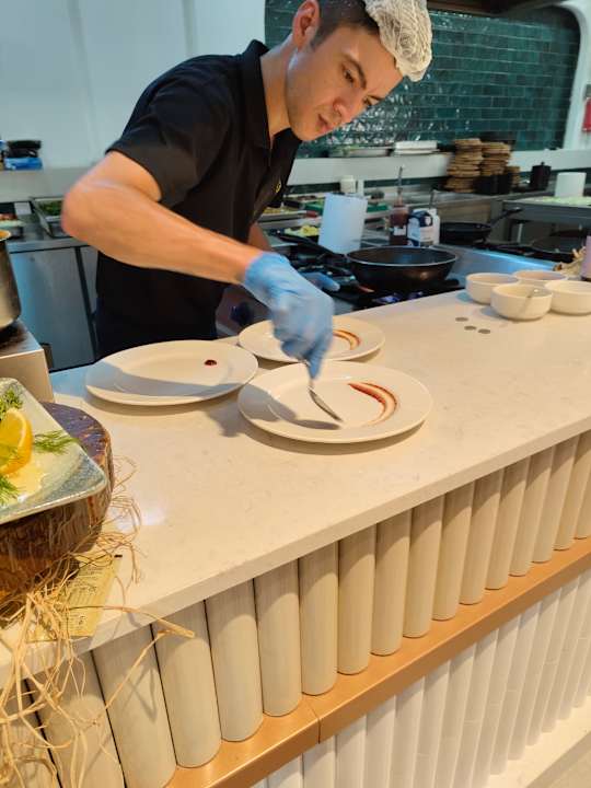 Gastro Seashell Vega