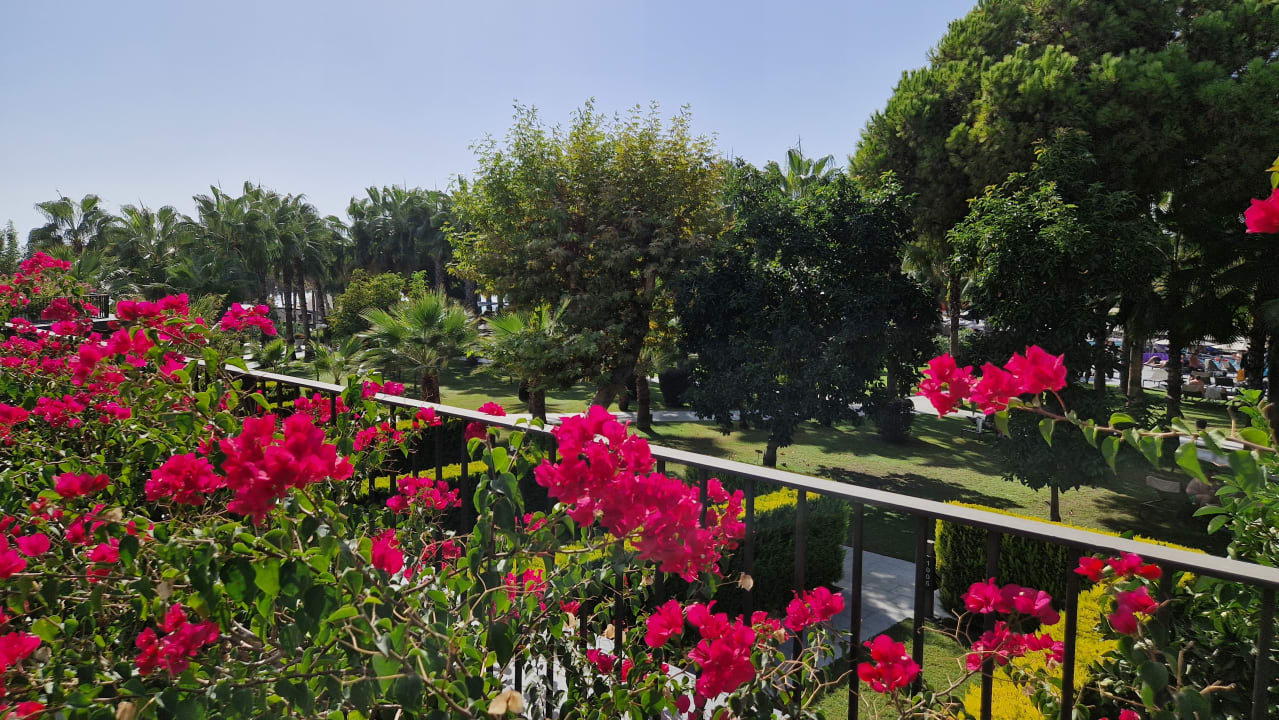 Gartenanlage Hotel Miramare Beach