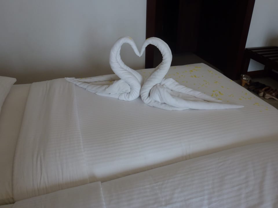 Zimmer Turyaa Kalutara