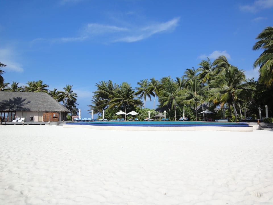 Pool Veligandu Maldives Resort Island
