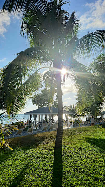 Gartenanlage Hotel Riu Negril