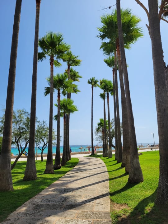 Strand Hipotels Mediterraneo