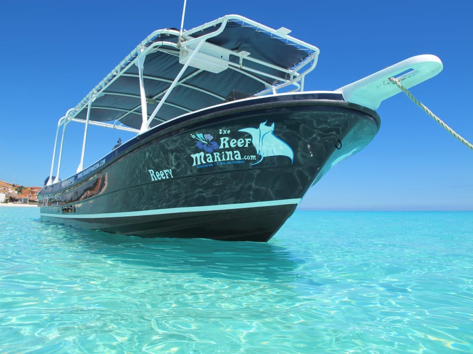 Sport & Freizeit The Reef Playacar