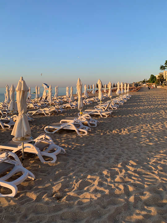 Strand Sentido Marea