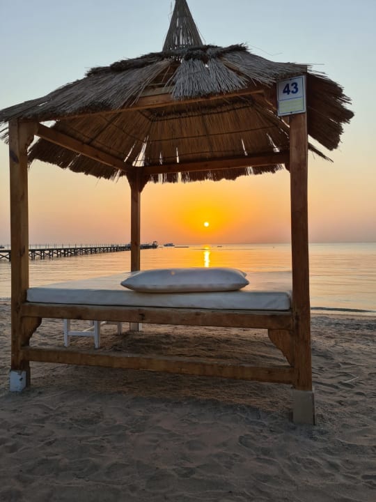 Strand Pickalbatros Palace Resort