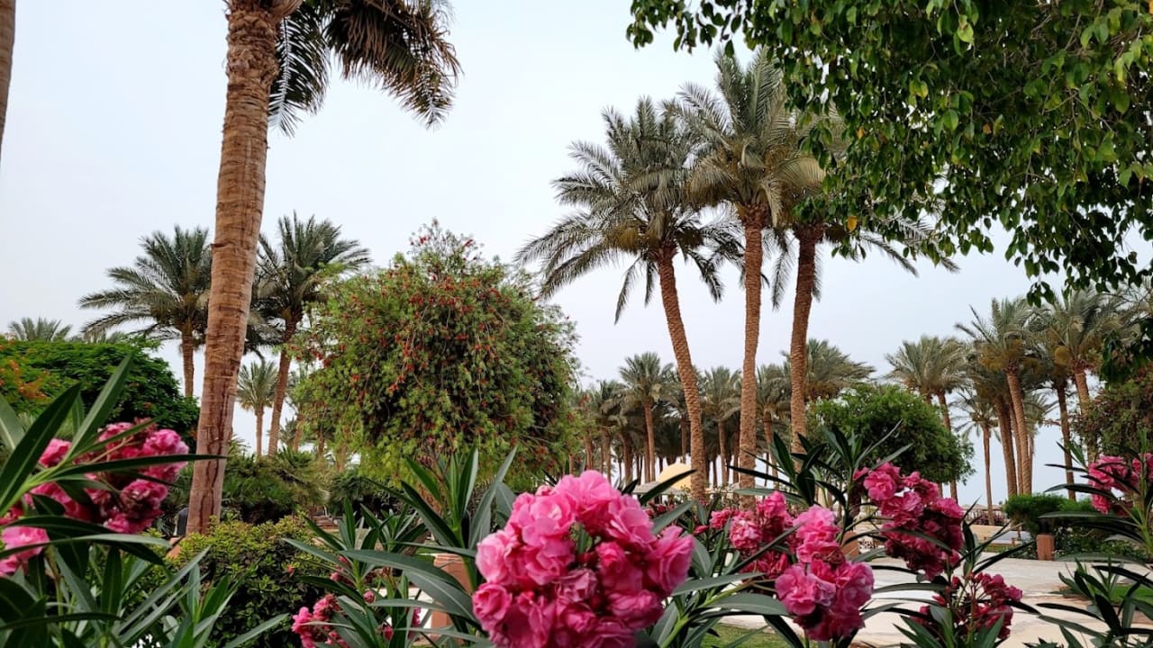 Außenansicht Grand Makadi