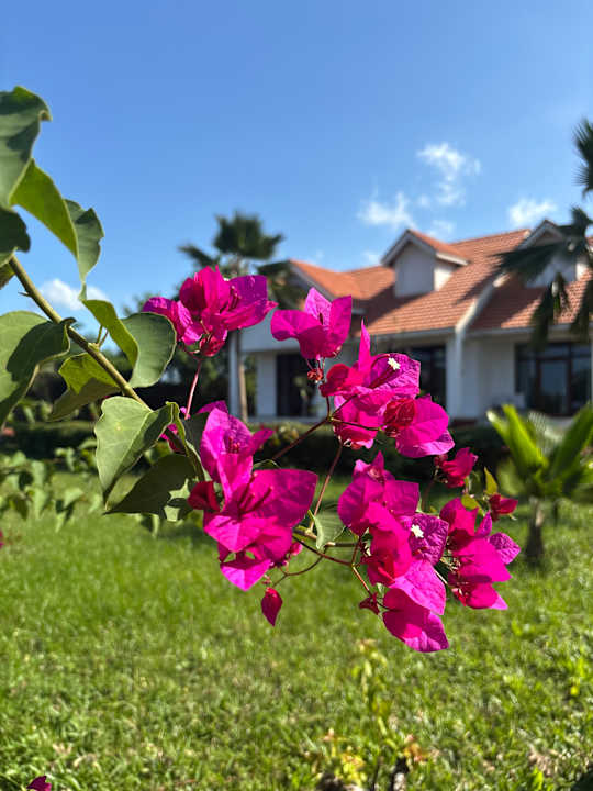 Gartenanlage Azao Resort & Spa - Hotel Zanzibar