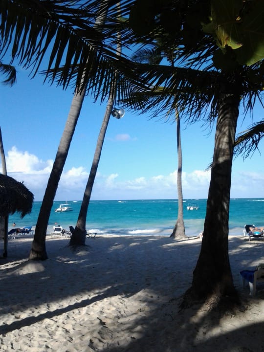 Zwischen den Palmen Grand Palladium Select Bávaro Resort & Spa