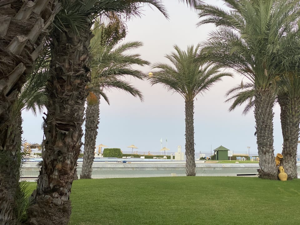 Gartenanlage Iberostar Waves Averroes