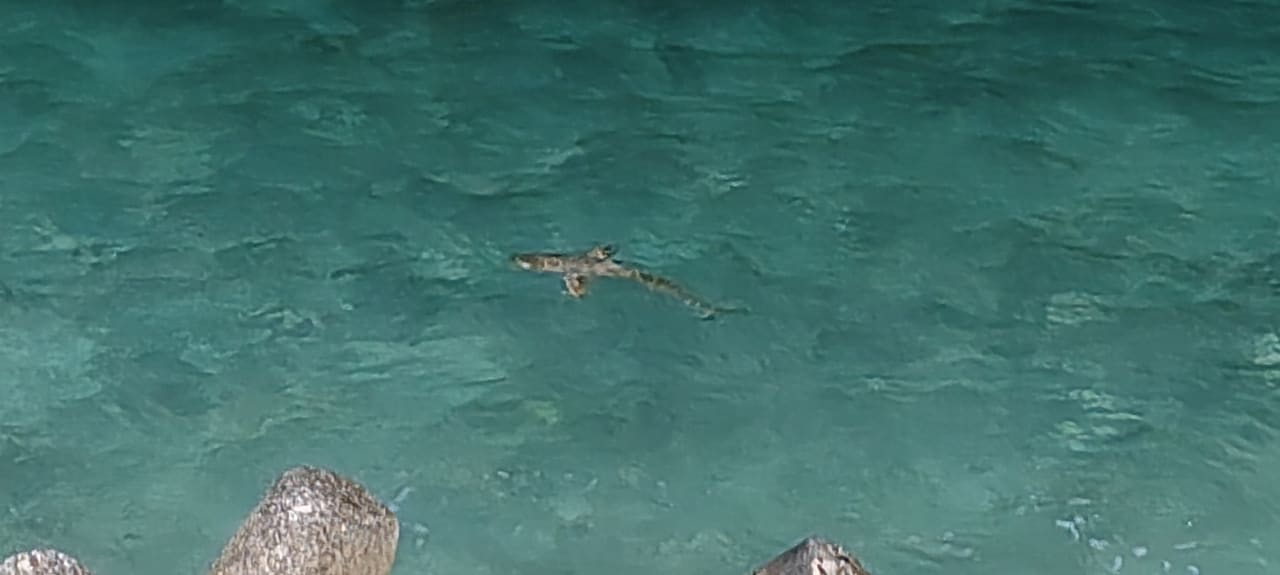 Strand Kuredu Island Resort & Spa