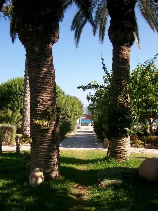 Der Weg zum Strand The Orangers Beach Resort and Bungalows