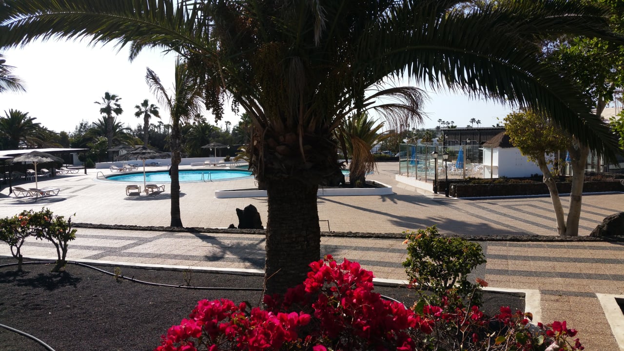 Außenansicht Bungalows Playa Limones
