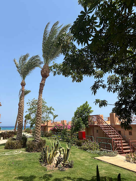 Außenansicht Shams Prestige Abu Soma-Adults Only