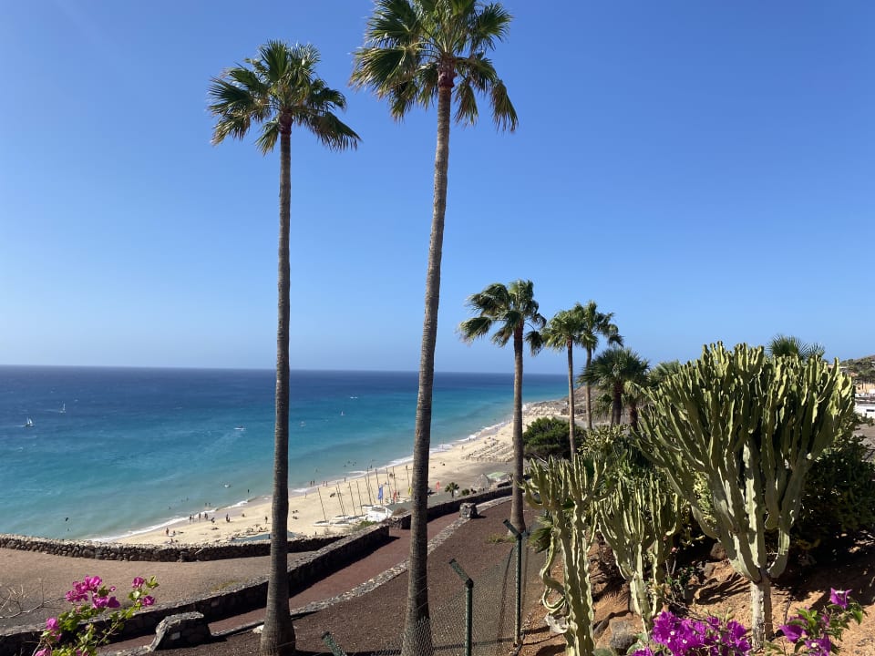 Strand ROBINSON ESQUINZO PLAYA