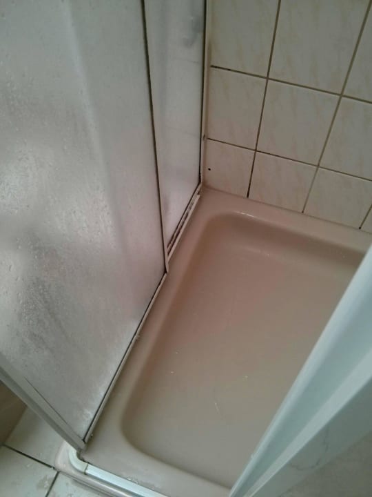 Das wächst nicht innerhalb von einem Tag Ferien Hotel Bad Malente