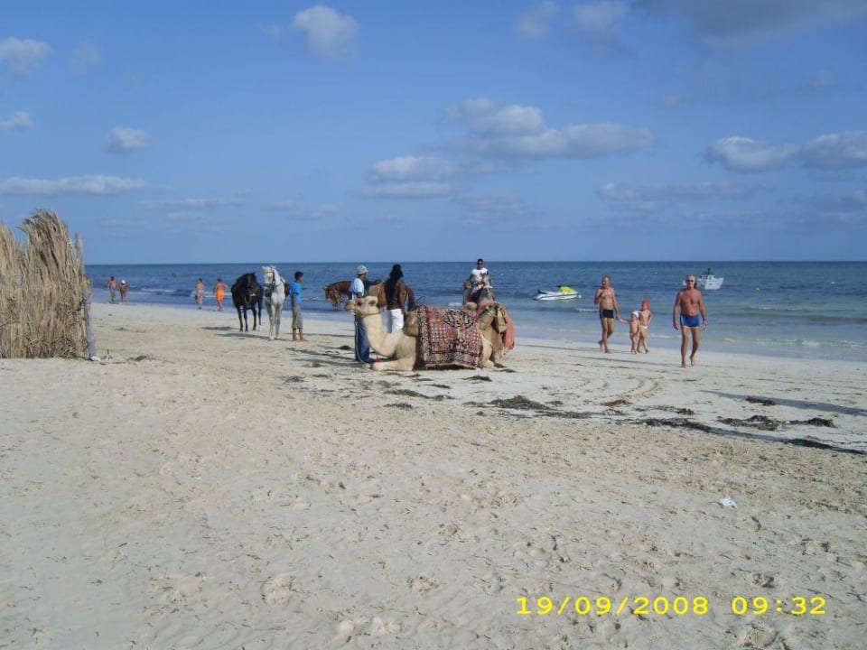 Ausritt zur blauen Lagune Calimera Yati Beach