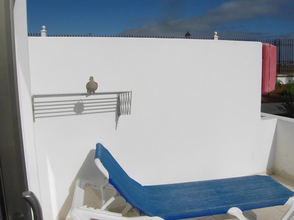 Auf der Terrasse Hotel Las Costas