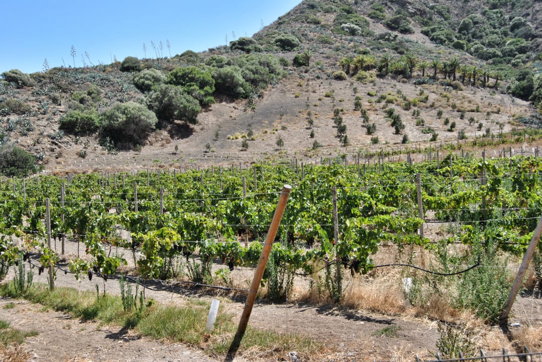 Gartenanlage Hotel Rural El Mondalón