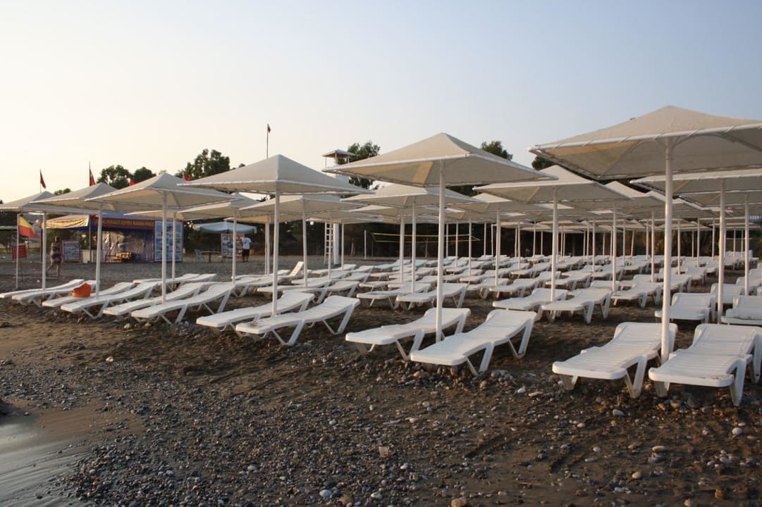 Liegen am Strand Aydinbey Gold Dreams