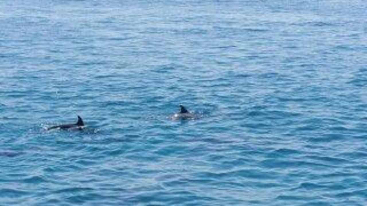 Delphine Arabella Azur Resort