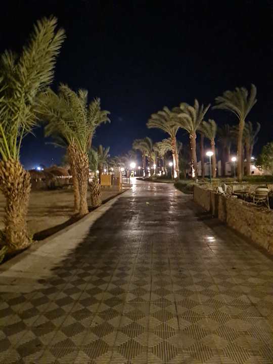 Gartenanlage Menaville Safaga