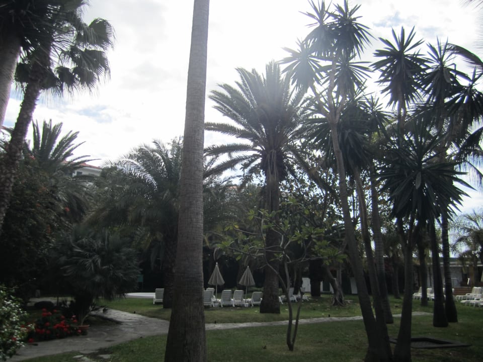Garten Richtung Minipool Bull Escorial & Spa