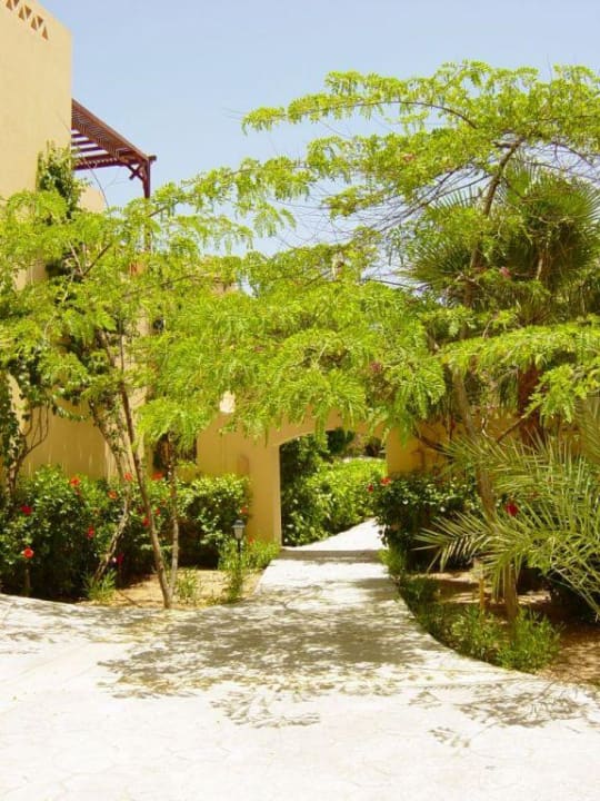 Garten Steigenberger Coraya Beach - Adults only