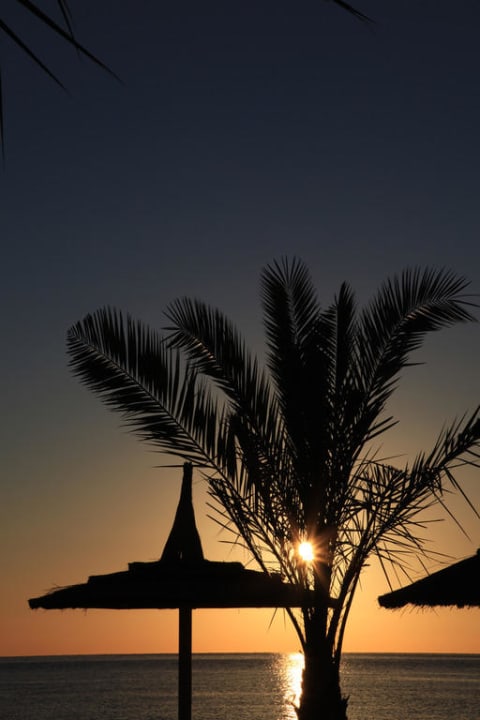 Morgens am Strand  Pickalbatros Aqua Vista Resort - Hurghada