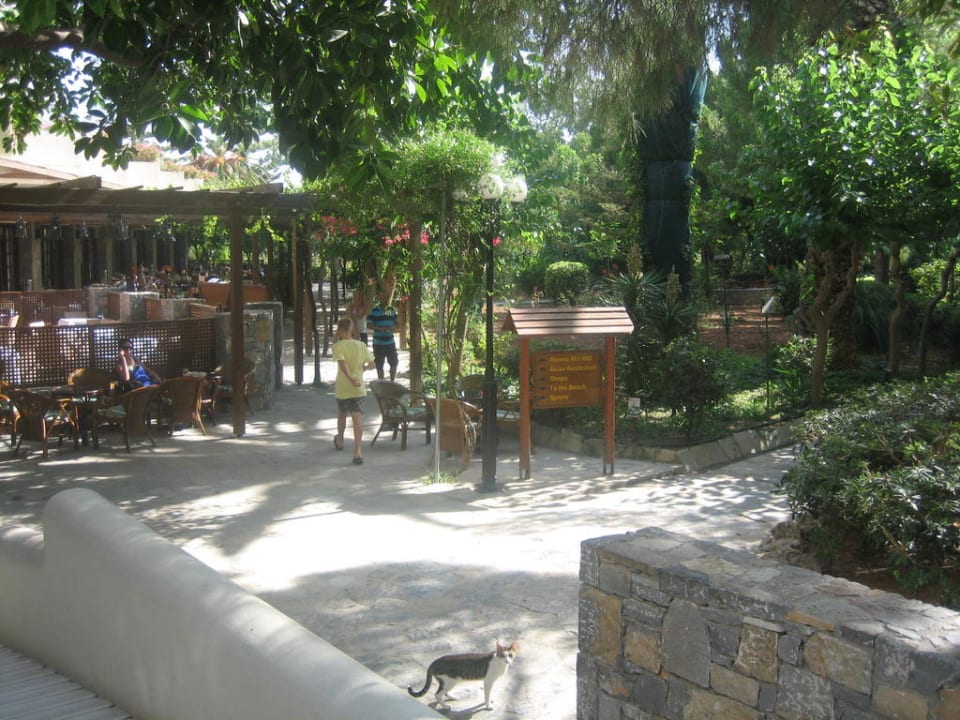 Gartenanlage mit Blick auf das Restaurant Apollonia Beach Resort & Spa