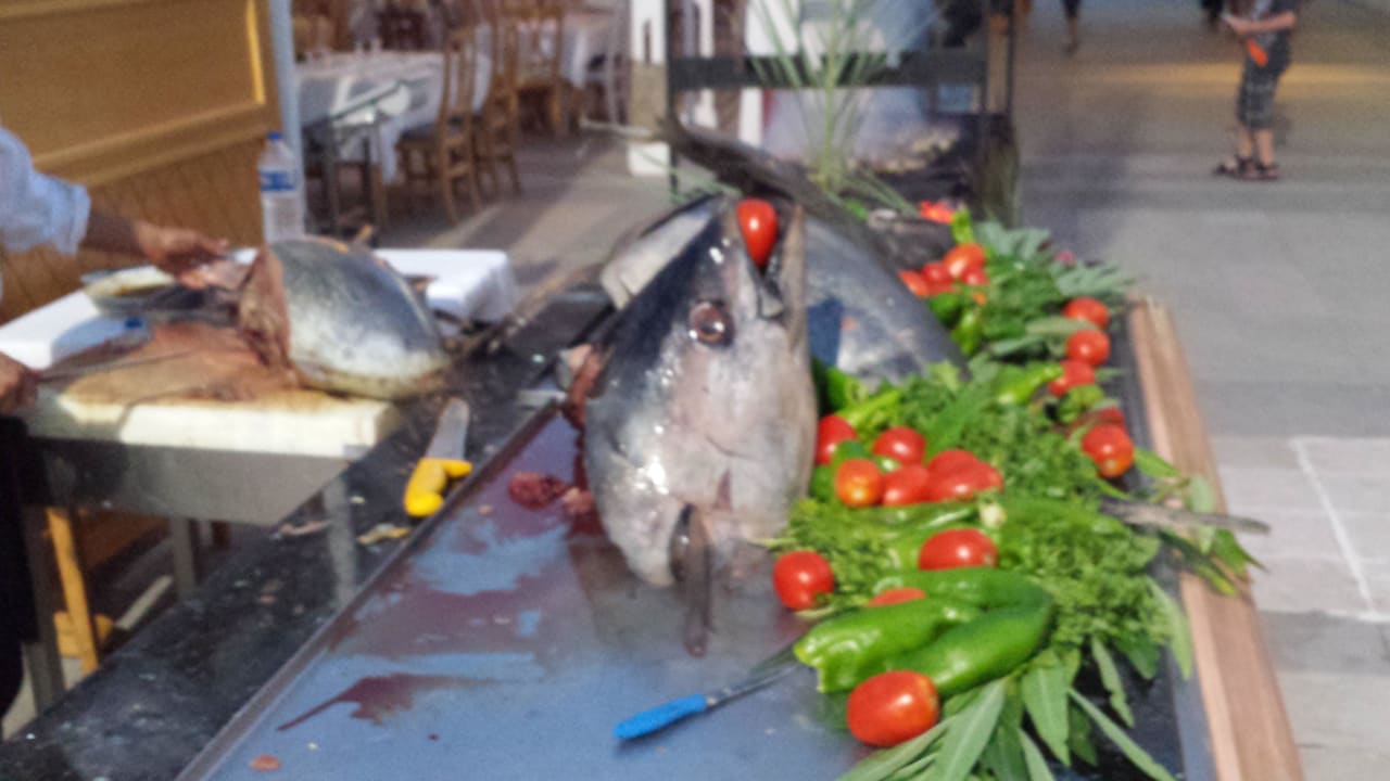 Lecker Fisch  Hotel El Mouradi Djerba Menzel