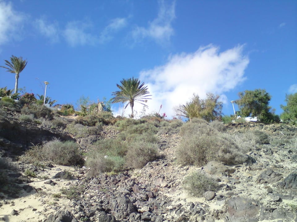Blick vom Strand nach oben SBH Club Paraiso Playa