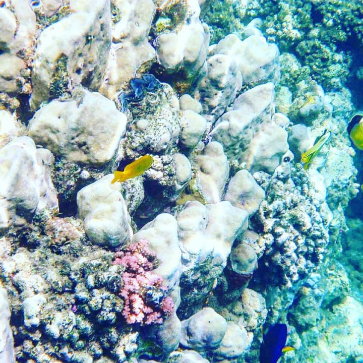 Strand Three Corners Equinox Beach Resort