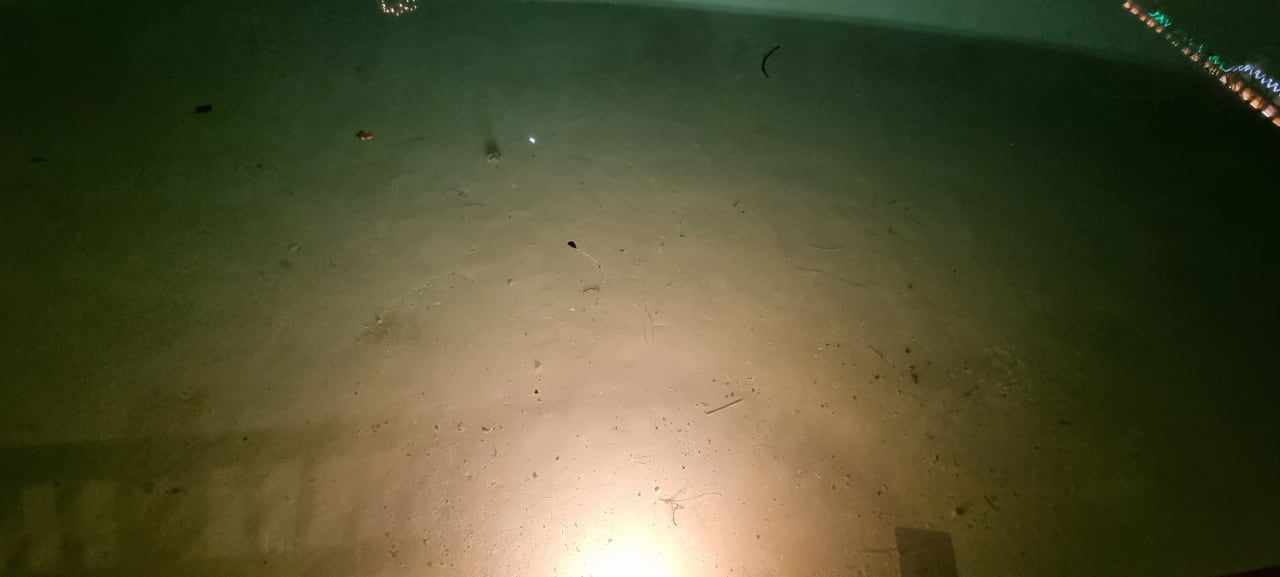 Außenansicht Rixos Bab Al Bahr