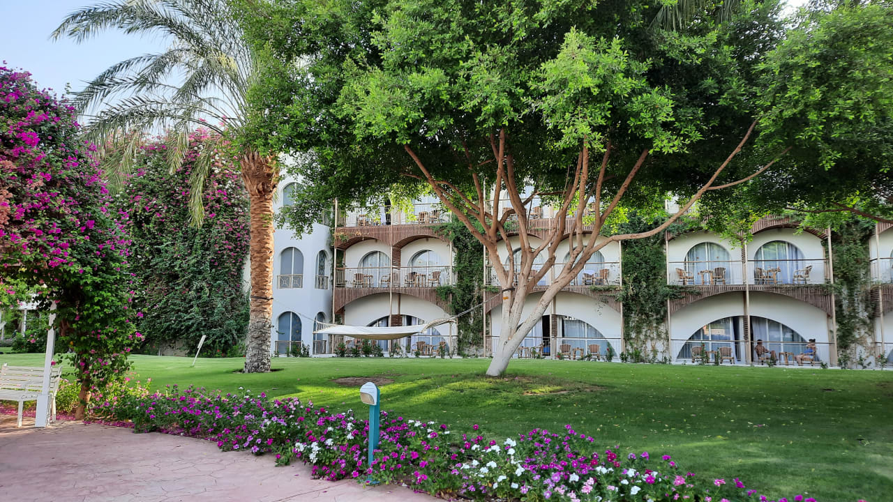 Gartenanlage Desert Rose