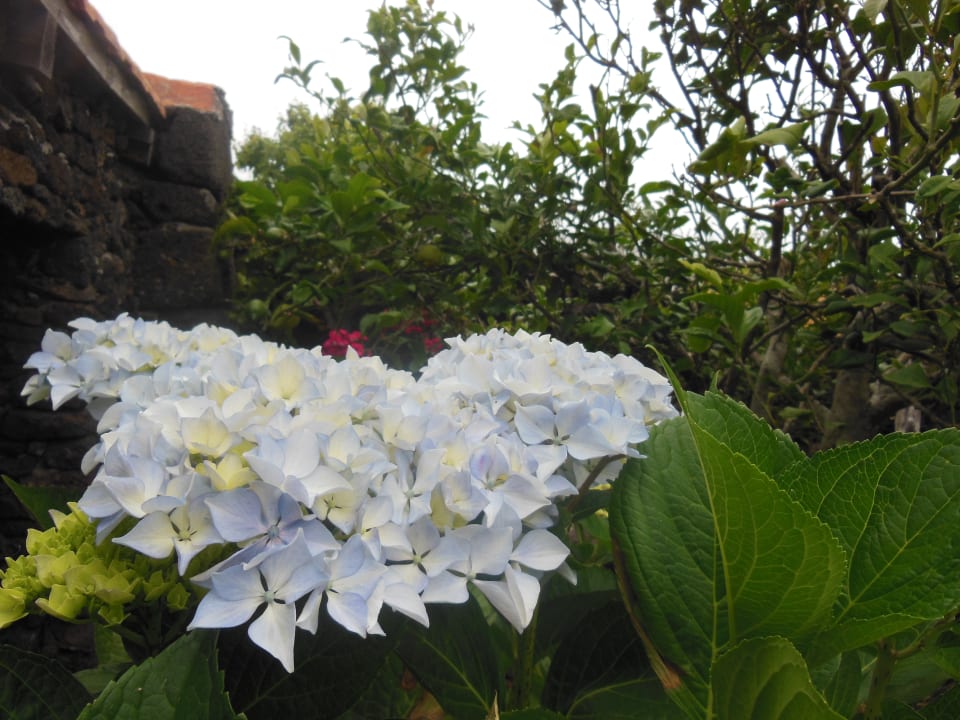 Gartenanlage Casa Rural Aborigen Bimbache