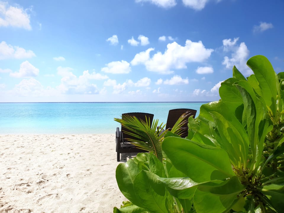 Ausblick Summer Island Maldives