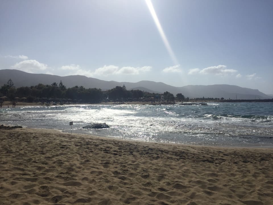 Ausblick allsun Hotel Carolina Mare