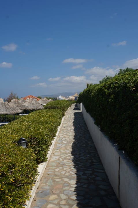 Aussenanlage Alexander Beach Hotel & Village Resort