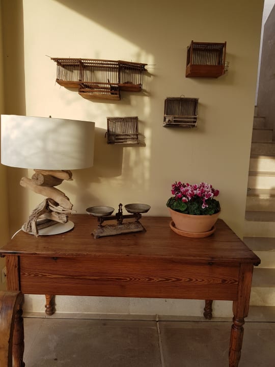 Gastro Myseahouse Flamingo - Adults only