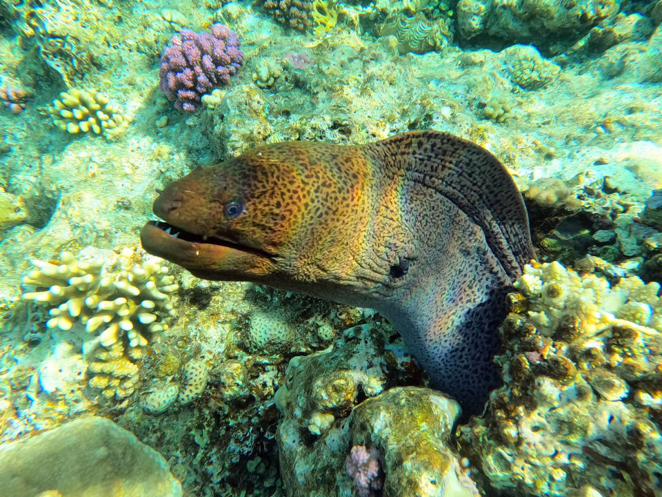 Strand Brayka Bay Resort