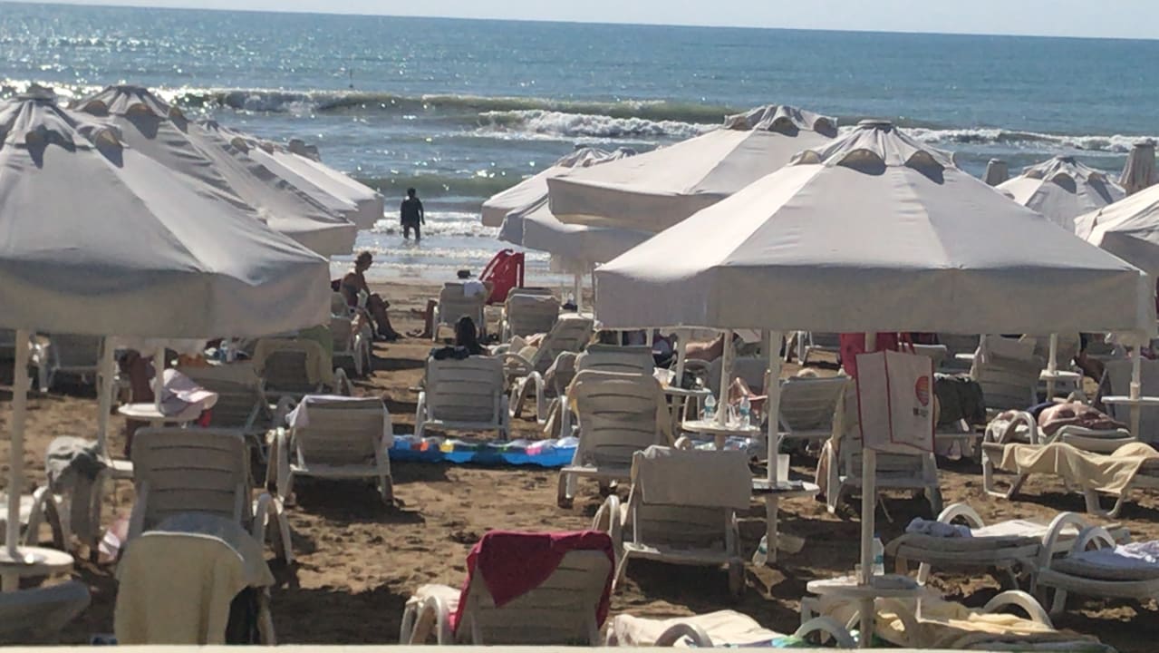 Strand Arum Barut Collection