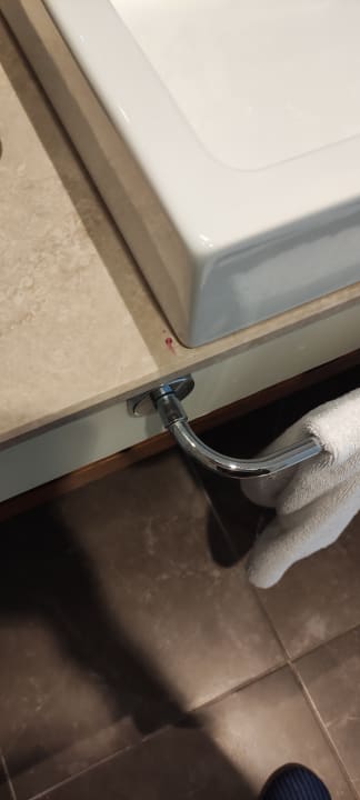 Zimmer Well Palace Side