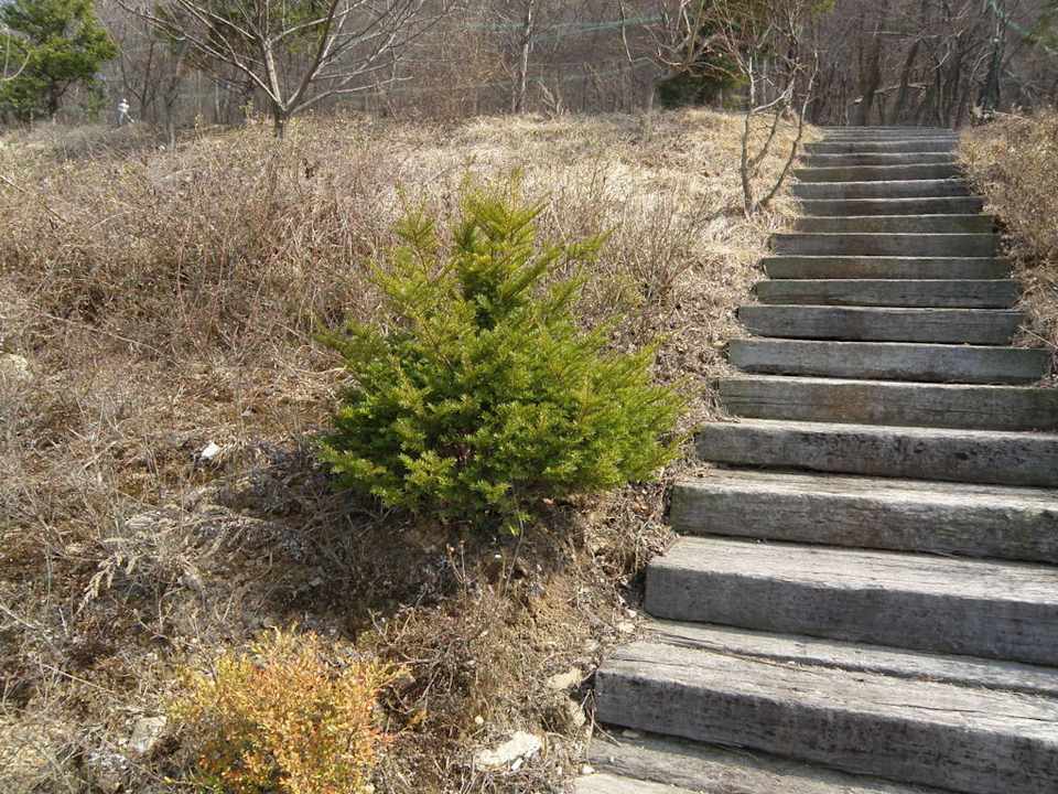 Über den Dächern Guesthouse Skygarden