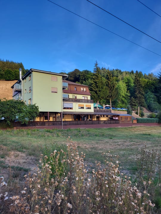 Außenansicht Hotel Grüner Baum