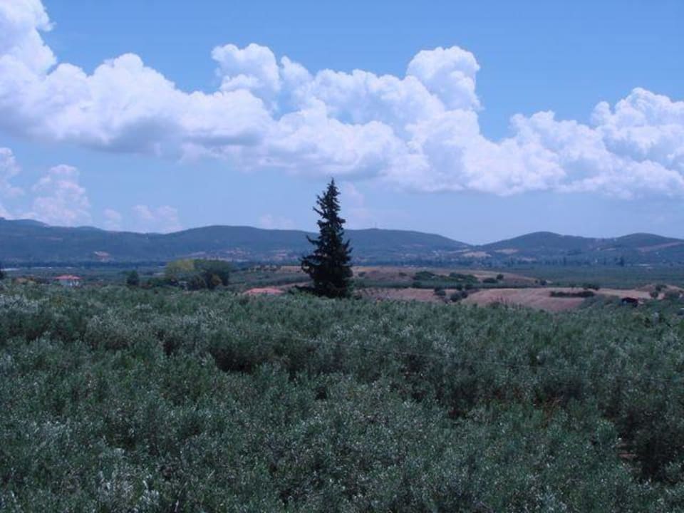 Aussicht/Ausblick Haus des Künstlers