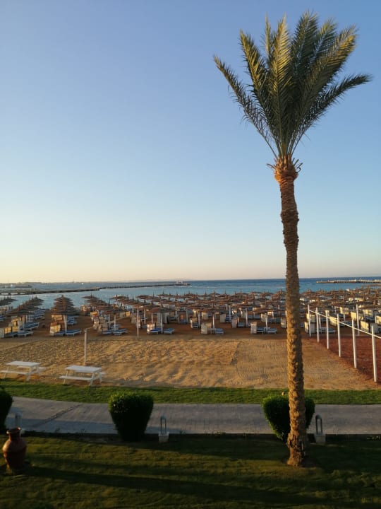 Ausblick Pickalbatros Dana Beach Resort - Hurghada