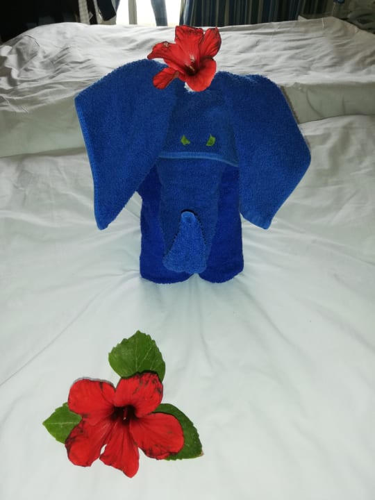 Zimmer Calimera Yati Beach